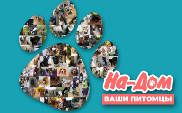 Ваши питомцы