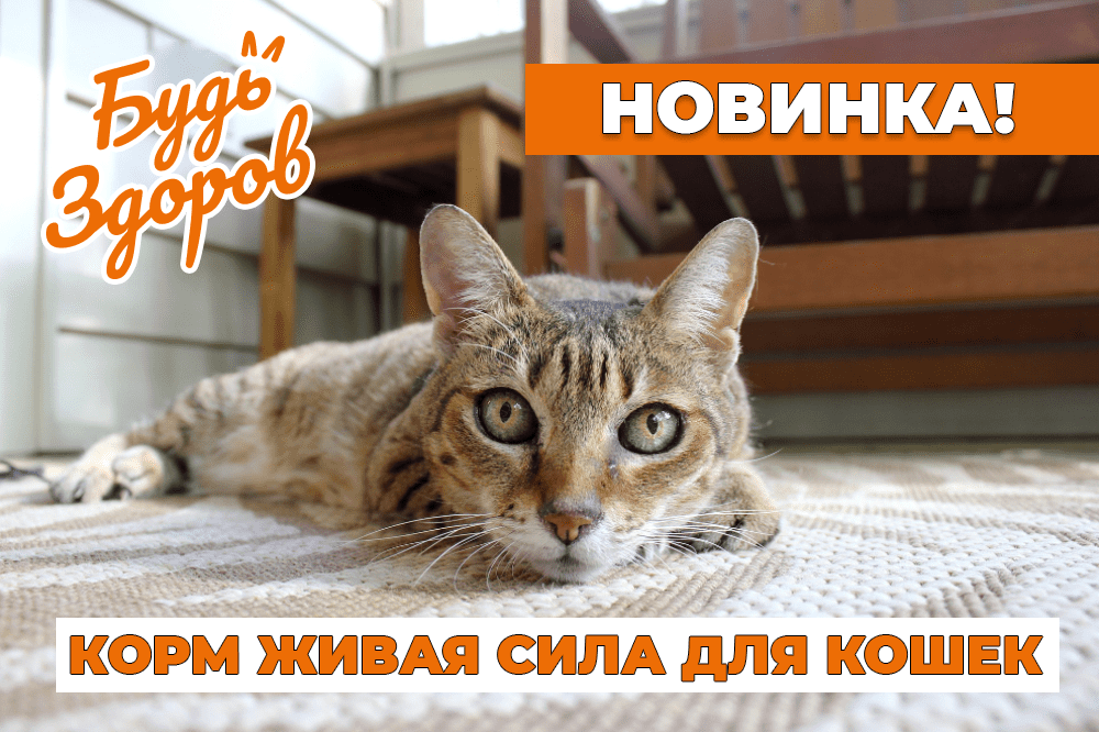 Сухие полнорационные корма для кошек "Живая Сила"