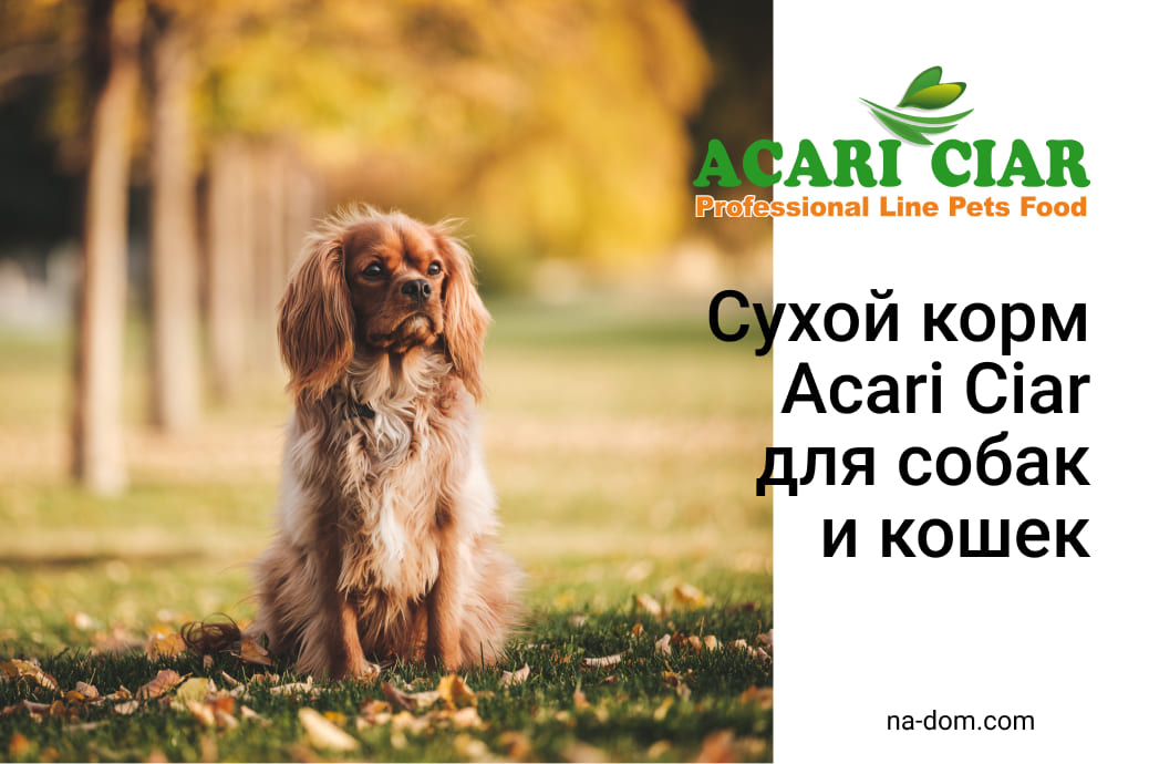 Сухой корм Acari Ciar для собак и кошек 