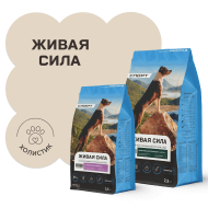 Нет заданного изображения 