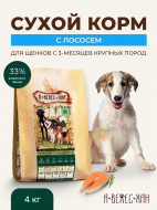 Нет заданного изображения 