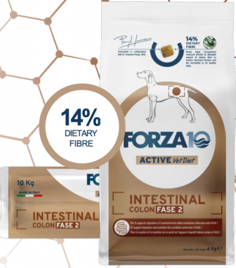 Forza10 Intestinal Colitis Fase2 Active сухой корм для взрослых собак при воспалительных заболевания кишечника