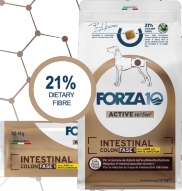 Forza10 ACTIVE Vet Diet INTESTINAL Colon Fase-1 Lamb & White Sorghum сухой корм для взрослых собак всех пород при хронических колитах и проблемах ЖКТ