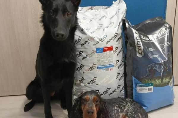 Kupit Korm Zhivaya Sila V Moskve Nadom 01