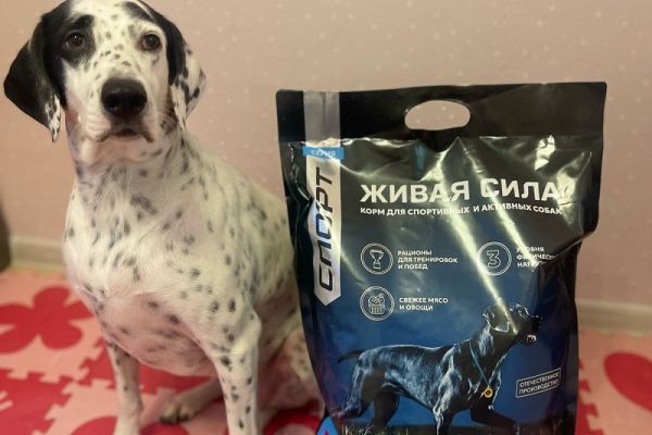 Kupit Korm Zhivaya Sila V Moskve Nadom 04