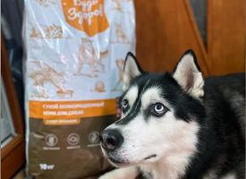 Budzdorov Dog Food