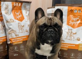 Budzdorov Dog Korm Yagnenok10