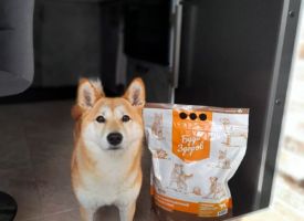 Budzdorov Dog Korm Yagnenok9