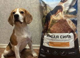 Korm Zhivaya Sila Dlya Sobak S Krolikom