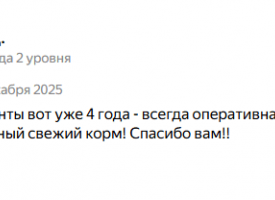 Otzyv O Magazine Na Dom5